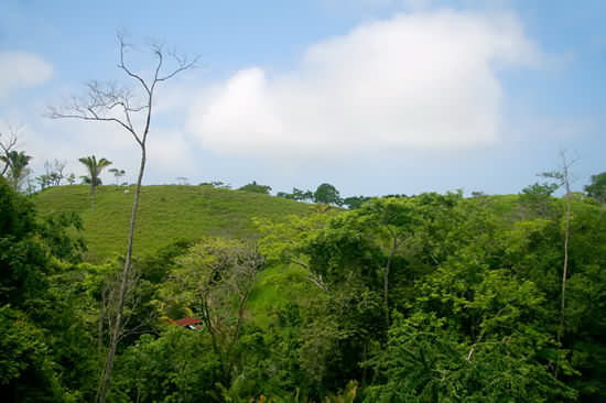 Eco Building - Sustainable Developments - Montezuma, Malpais, Santa Teresa, Costa Rica