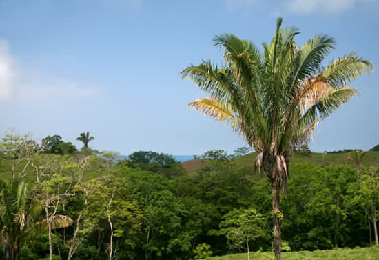 Malpais Houses for Sale - Costa Rica