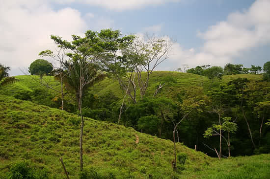 Malpais Land for Sale - Costa Rica