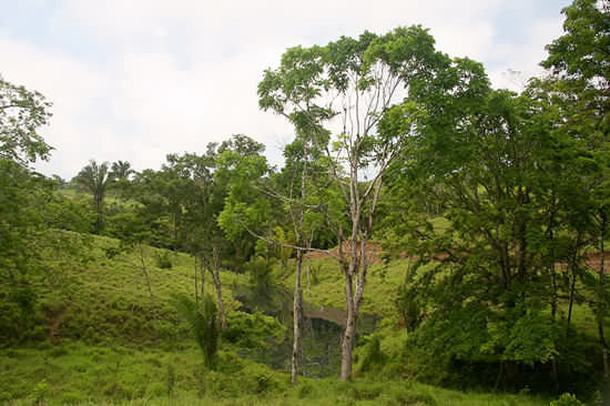 Green Building Costa Rica - Eco Development Malpais