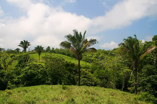 Costa Rica Solar Houses for Sale
