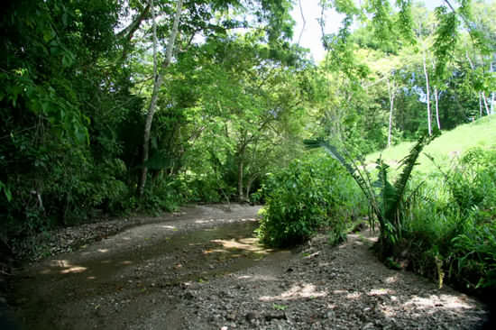 Stream/Quebrada bordering the Solar Vistas Eco Development